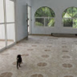 Meet your Posher, Mitsy